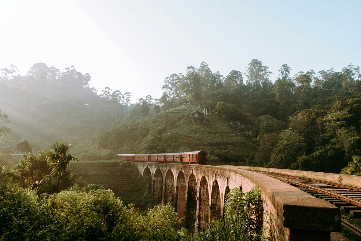 Dambulla Cave & Golden Temple in srilanka